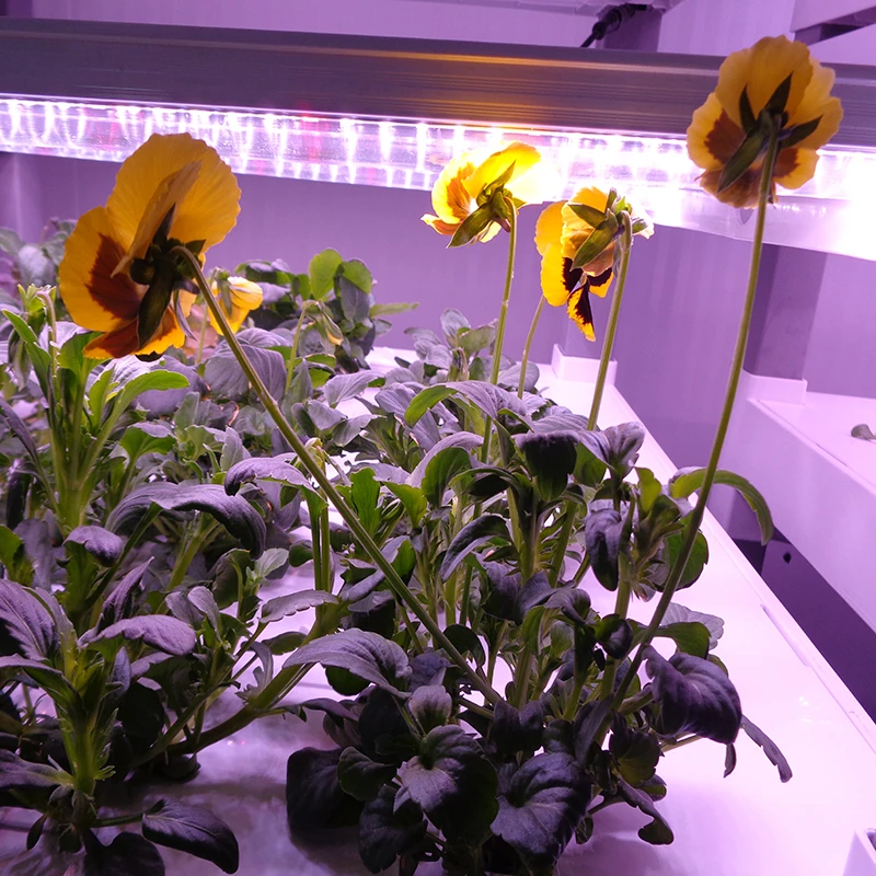 Novo Sistema Inteligente de Cu - Smart Garden Vertical avaliação e preço