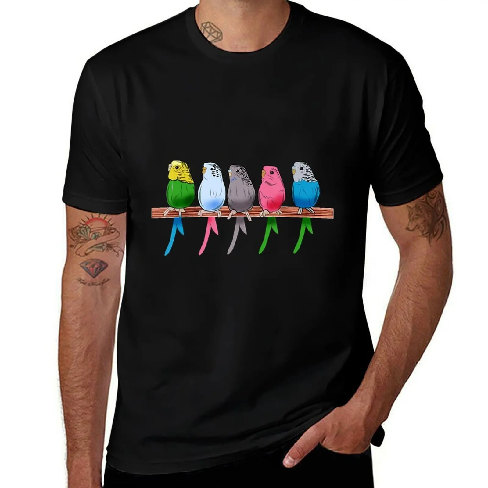 Funny Budgie Pet Bird Parakeet Graphic Budgerigar Gift T-Shirt Soft Durable Cotton T-Shirt