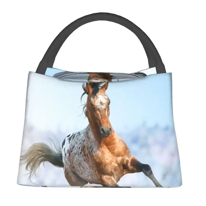 Beautiful Appaloosa Stallion Running Gallop Insulated Lunch Bag for Women Portable Horse Thermal Cooler Lunch Box Beach Camping