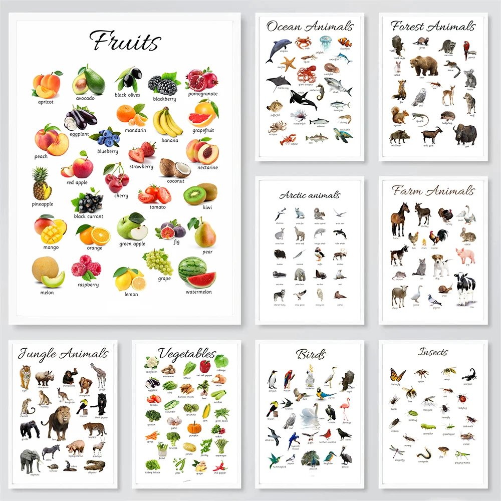 Fruits Vegetable Animals Poster Canvas Prints Montessori Educational Homeschooling Learning Poster Kids Nursery Room Decoration