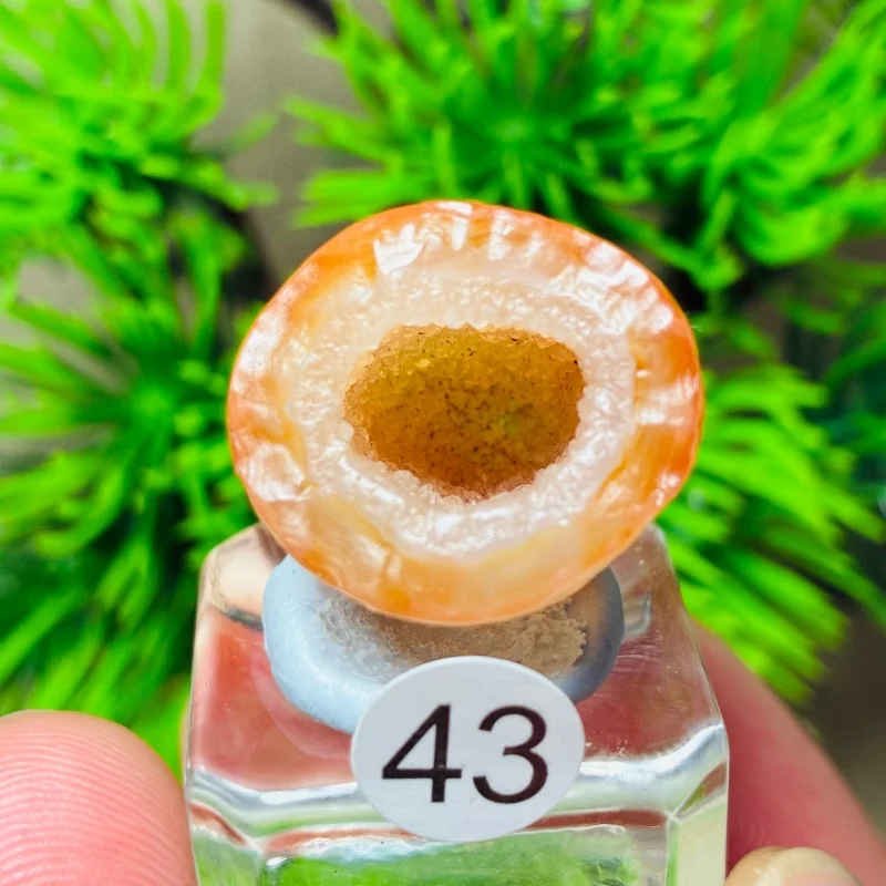 Natural Stone Alxa Agate Geode Quartz Reiki Healing Energy Spiritual Meditation Home Decor Gift