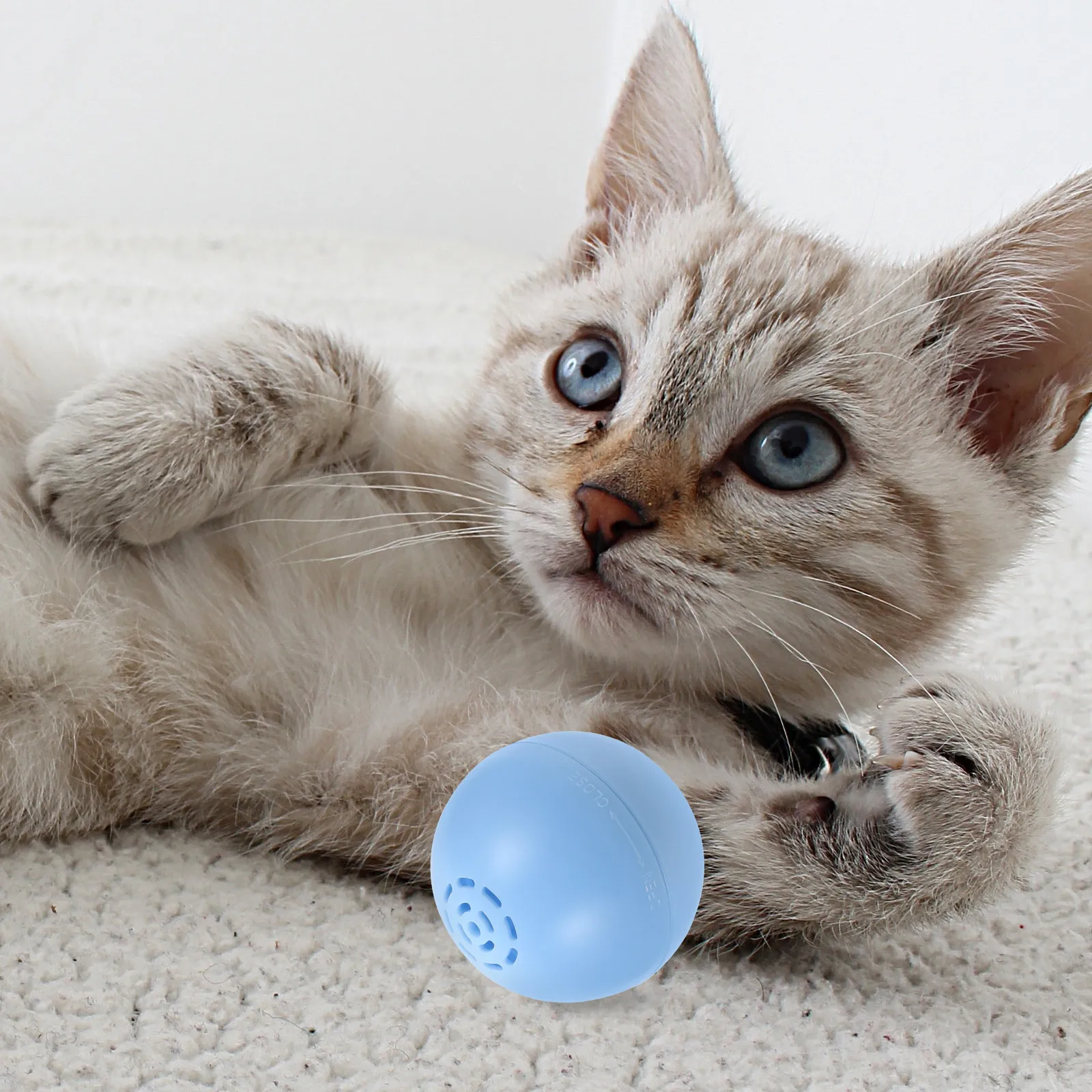 Wear-Resistant Electric Music Ball Cat Plaything Portable Interactive Kitten Supply Stimulating Frog Cricket Bird Cat Accessory