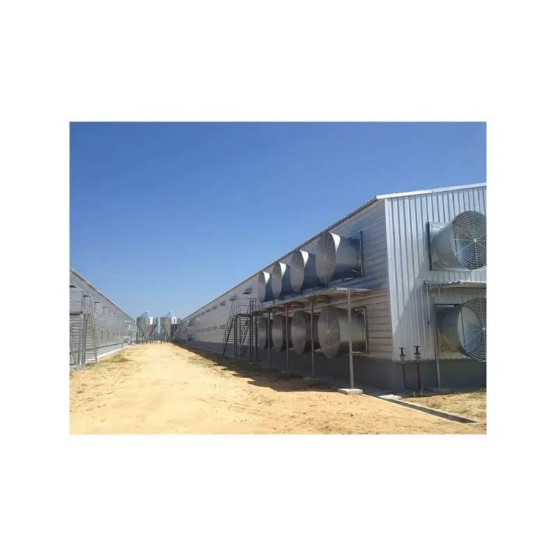 YG Poultry House Rooster Farming Laying Hen Broiler Chicken Cage Steel Structure Automatic Chicken Building