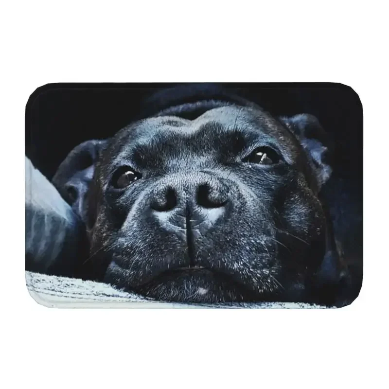 1PCStaffordshire Bull Terrier Doormat Anti-Slip Entrance Bathroom Kitchen Cute Dog Door Floor Mat Bedroom Balcony Carpet Rug