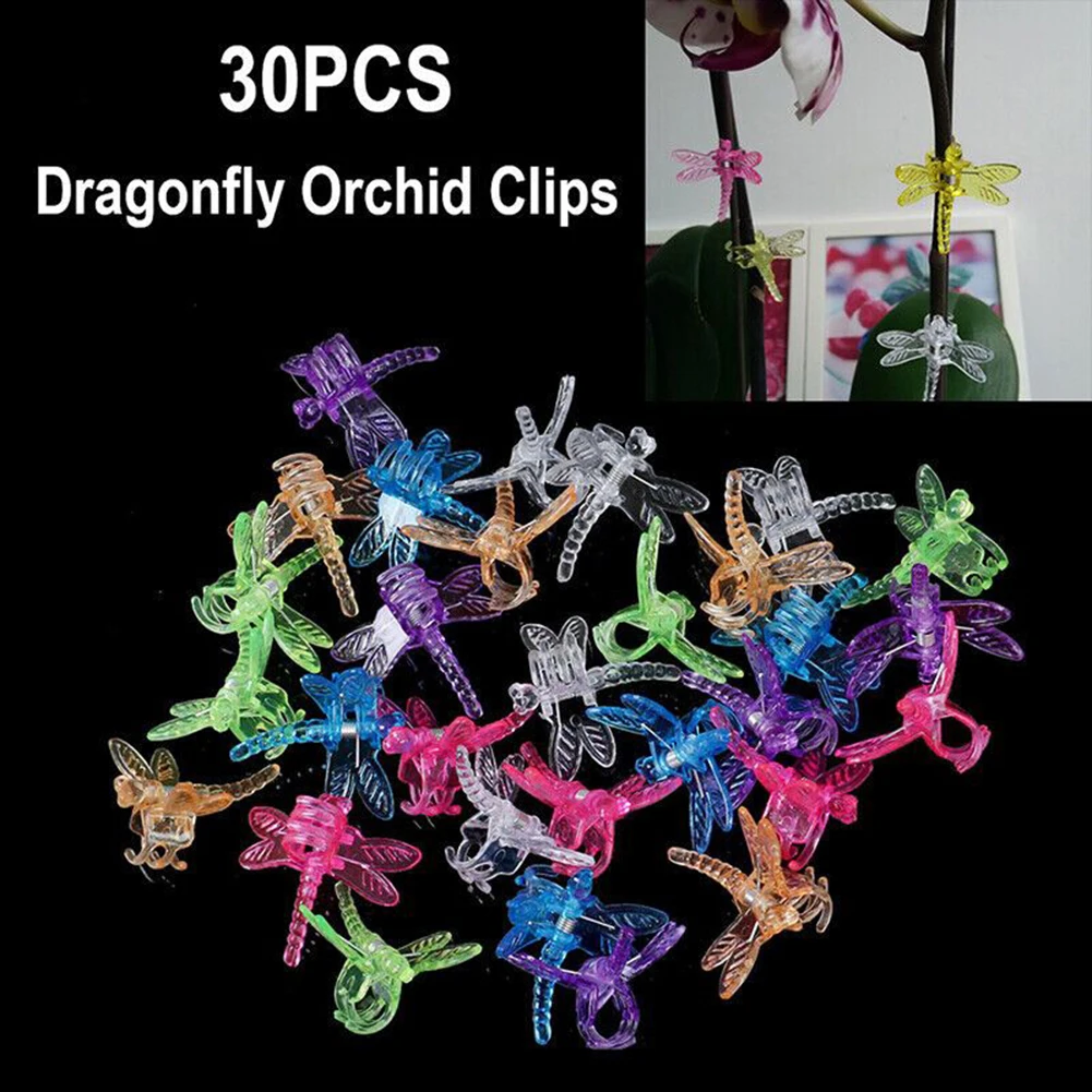 30PCS Dragonfly Clips Garden Orchid Plant Clamps Flowers Vine Support Fixed Stem Clasp Tied Bundle Branch Bonsai Decoration