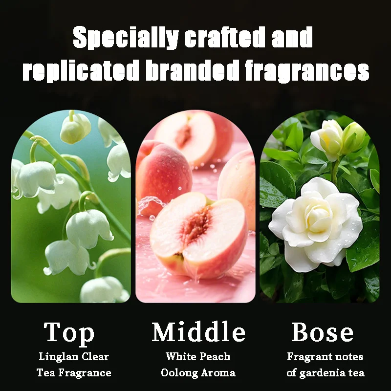 قالب شامبو عشبي سكبرس ليف أوسمان جراس 120 جرام، غني بالجينسنغ وأوراق السرو وغيرها من المستخلصات العشبية