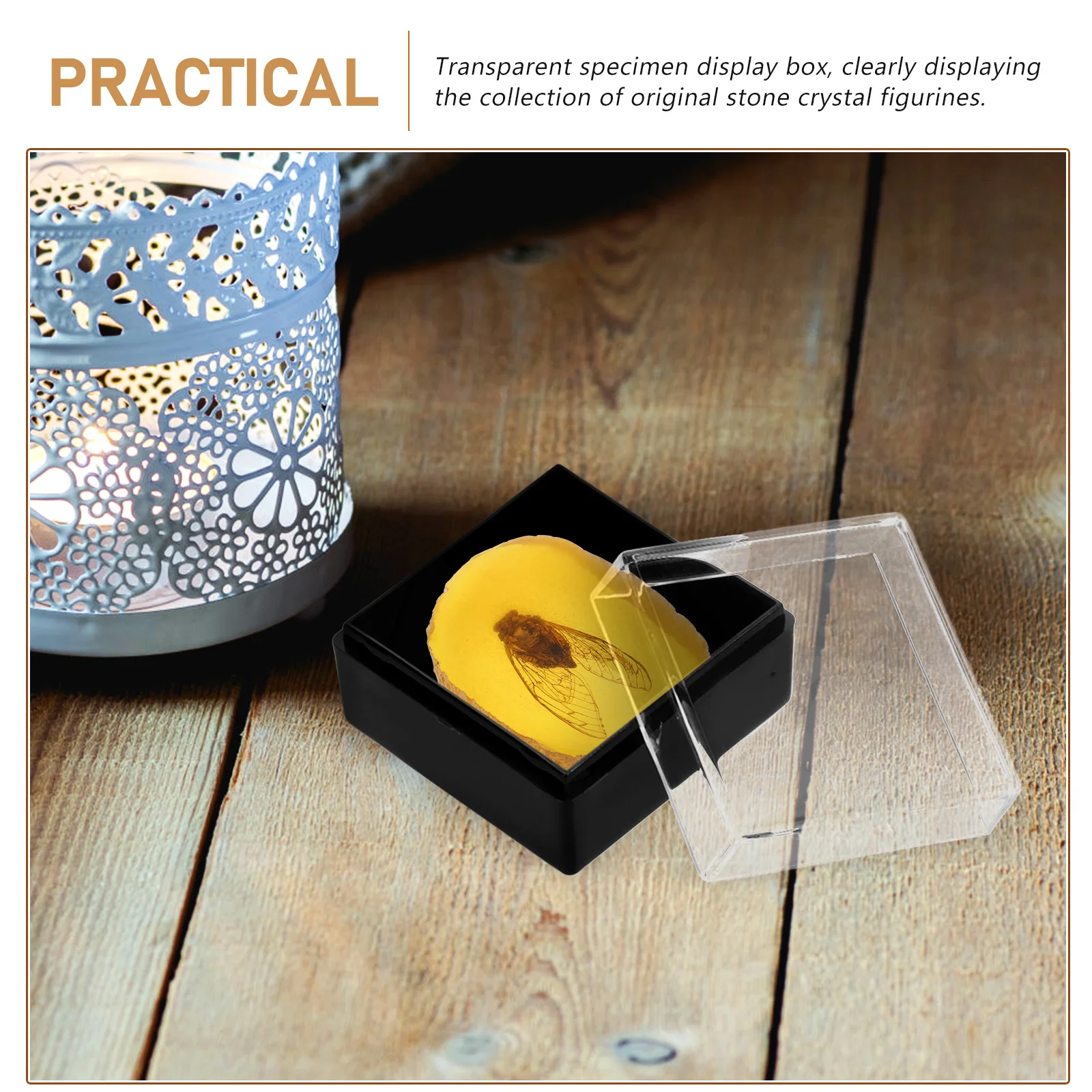 

6Pcs Specimen Storage Box Transparent Display Container Durable Drop Resistant for Mineral Stones Jewelry Specimens