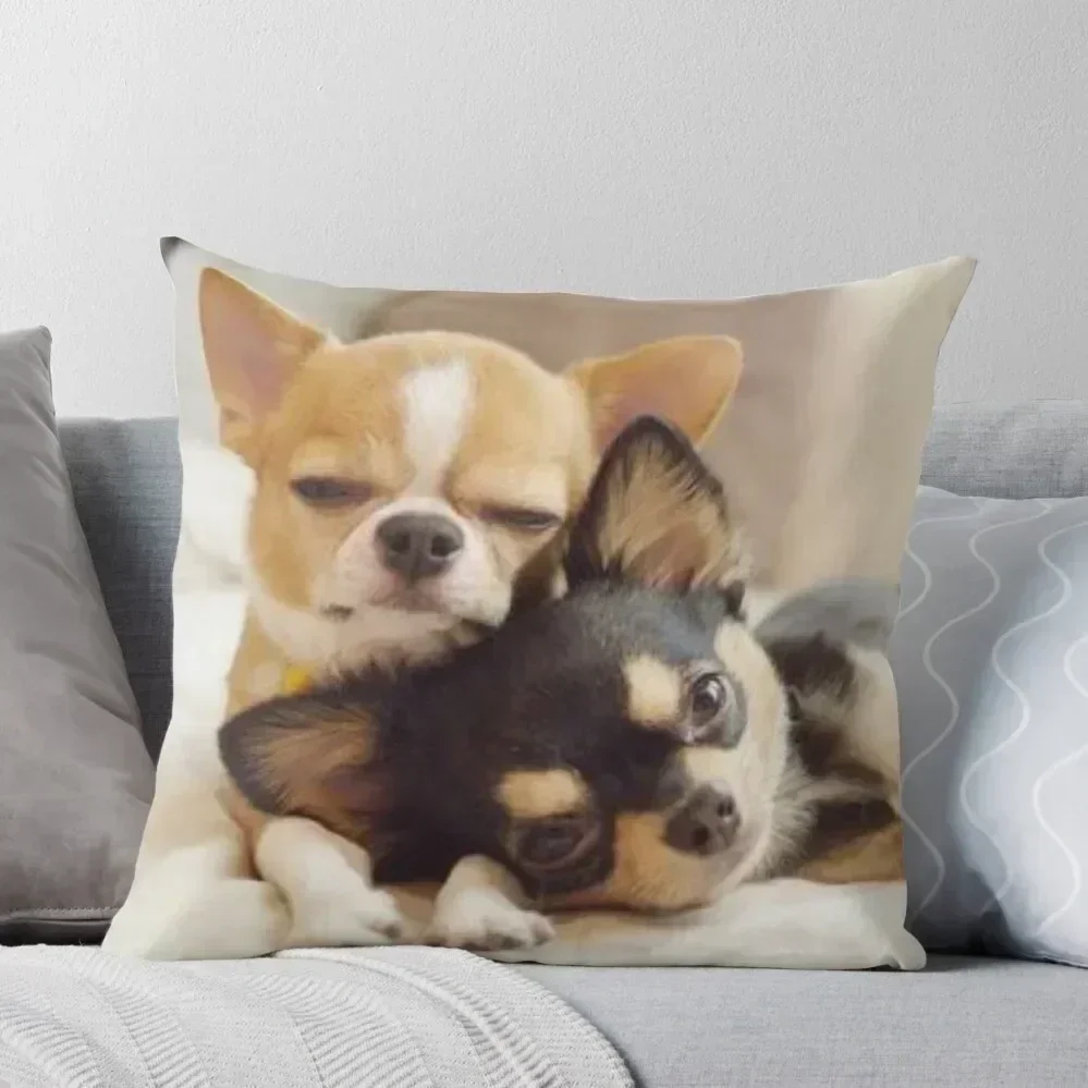 

Two Cute Chihuahua Puppies Photograph Throw Pillow Covers For Sofas ornamental pillows for living room pillow