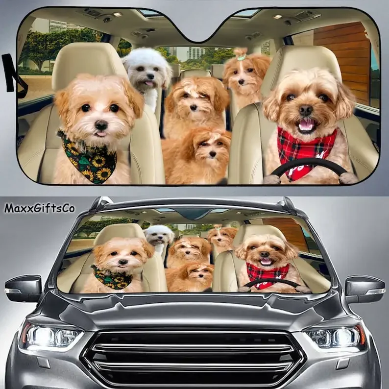 Maltipoo Car Sun Shade, Maltipoo Windshield, Dogs Family Sunshade, Dog Car Accessories, Car Decoration, Gift For Dad, Mom