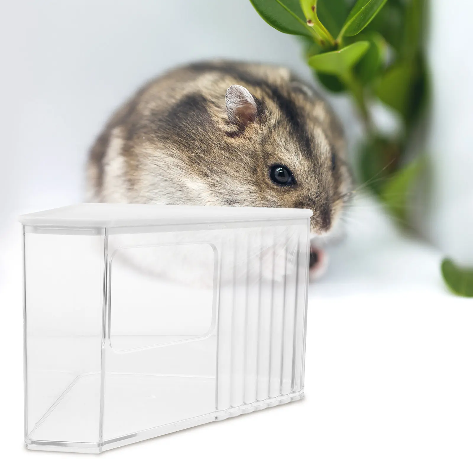 

Transparent Hamster Sand Bath Basin Toilet Bathroom Small Pets Sand Box Gerbils Litter Box Cleaner Dust Bath Container Cage