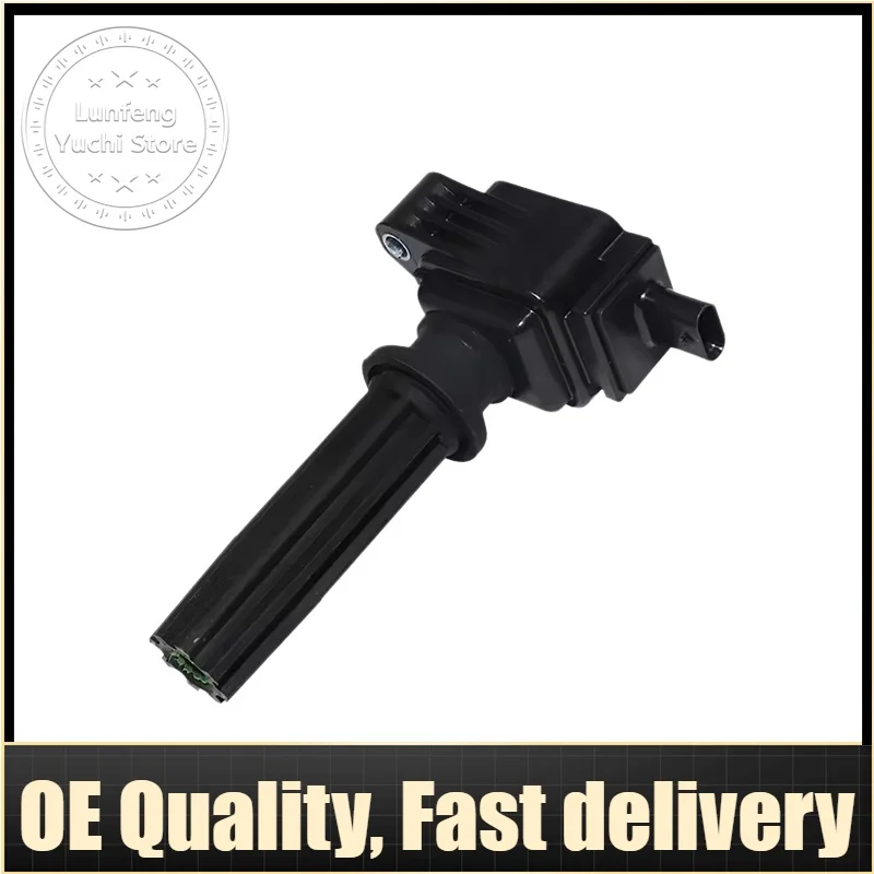 

Ignition Coil For Land Rover L550, L538, L494, L359, Jaguar, Volvo - LR030637, LR033979, LR084889, JDE30294, JDE39937