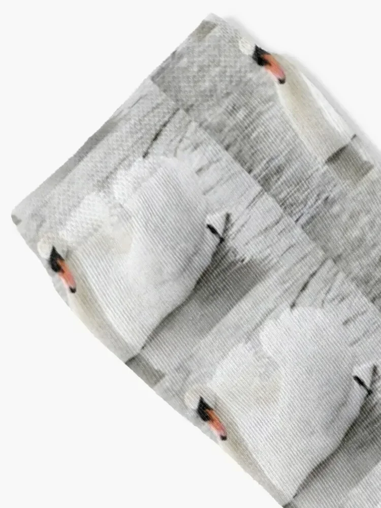 Swan Lake Socks designer brand Non-slip Socks Man Women's