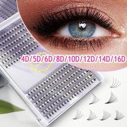 Premande Volume Fans Lash Wispy Bunches Cil 5D/6D/8D Eyelash Extensions Russia Volume 10D Point Base Individual Cluster Bundles