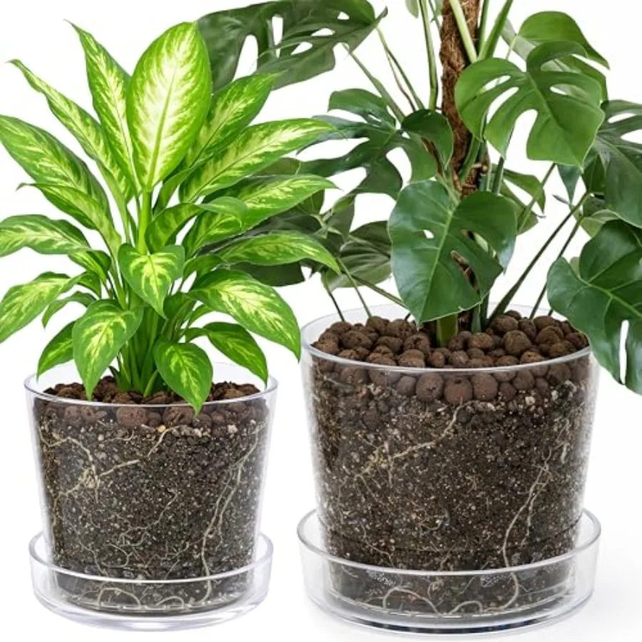 

Indoor houseplants planter pot: clear acrylic transparent 10/12 inch deep saucer for bottom watering drainage holes orchid and