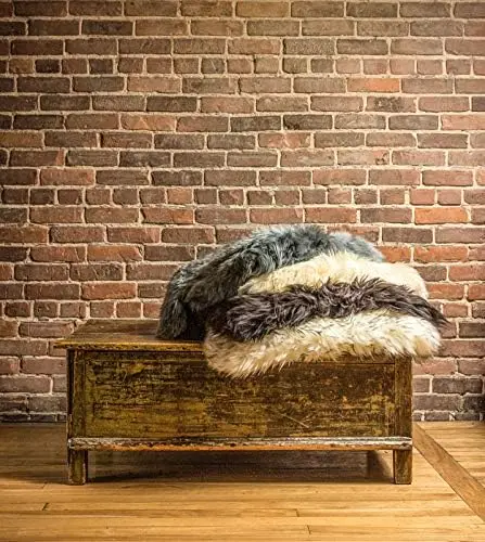 

Natural Sheepskin Rug with Thick and Lush 2.5 Inch Pile | Hypoallergenic Sheep Fur Rug with Anti-Skid Back | 2 x 3 ft Small Shee