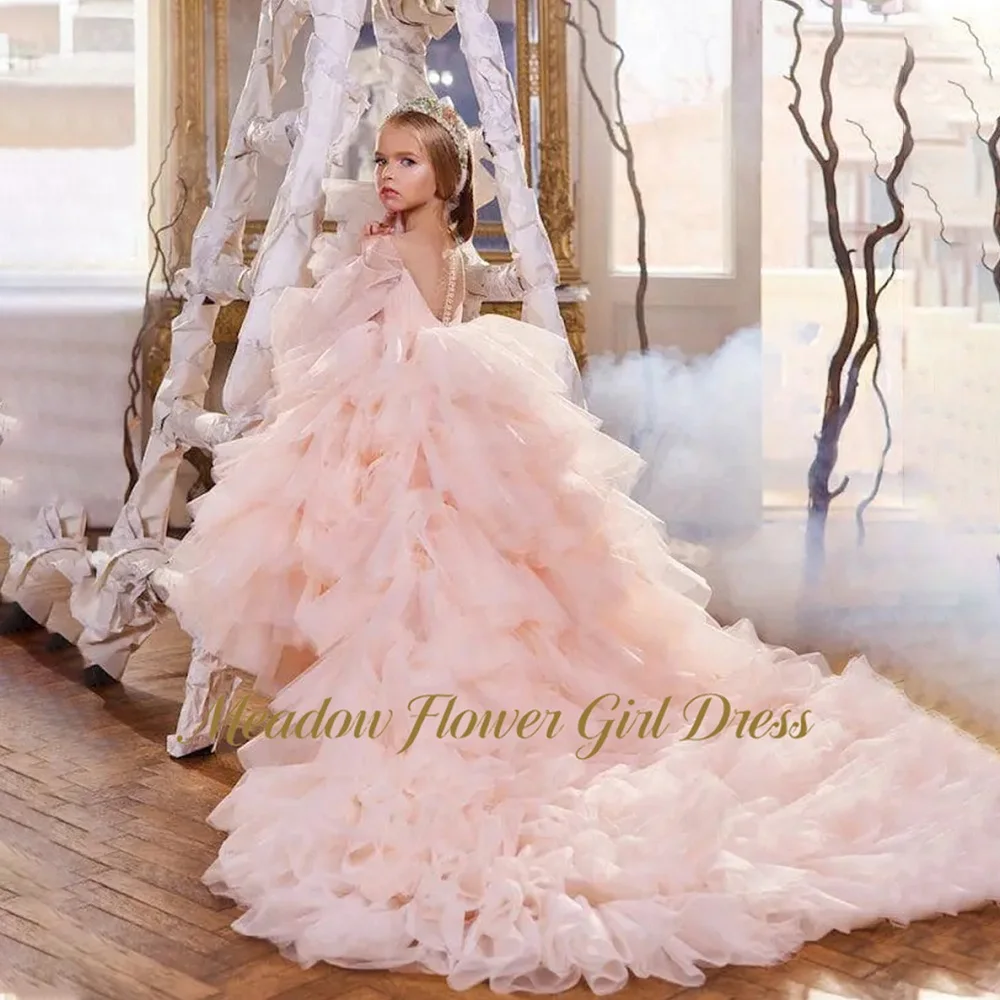 Meadow Dusty Rose Children Birthday Wedding Dresses V Neck Long Sleeve First Communion Gown Long Train Girls Princess Dress
