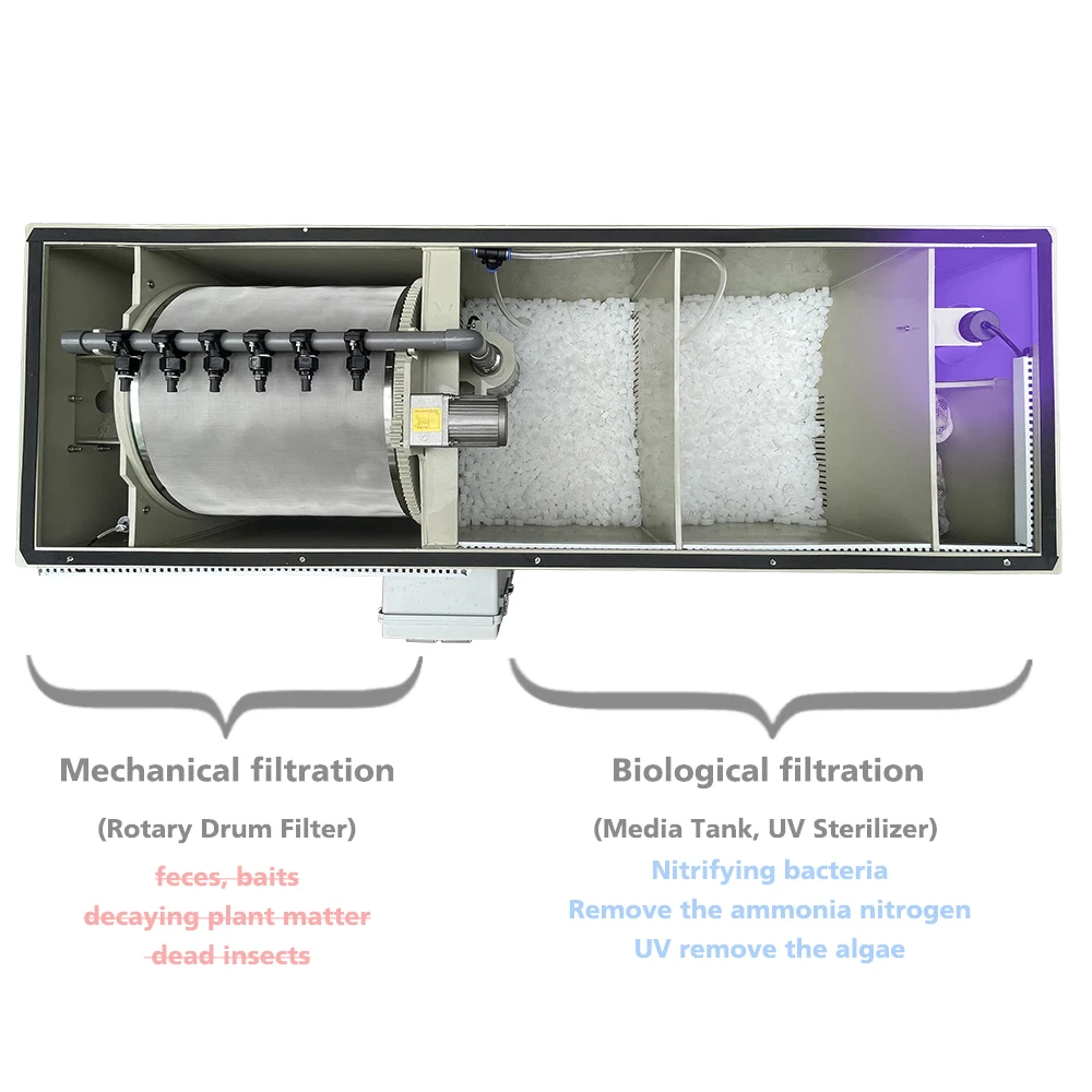 

QihangRAS high quality 220V/110V ras fish farming integrated equipment bio tank + rotary drum filter for koi pond