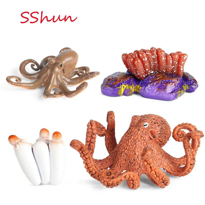 

Mini animal growth cycle model set Childrenducation early education toy octopus simulation animal growth cycle model