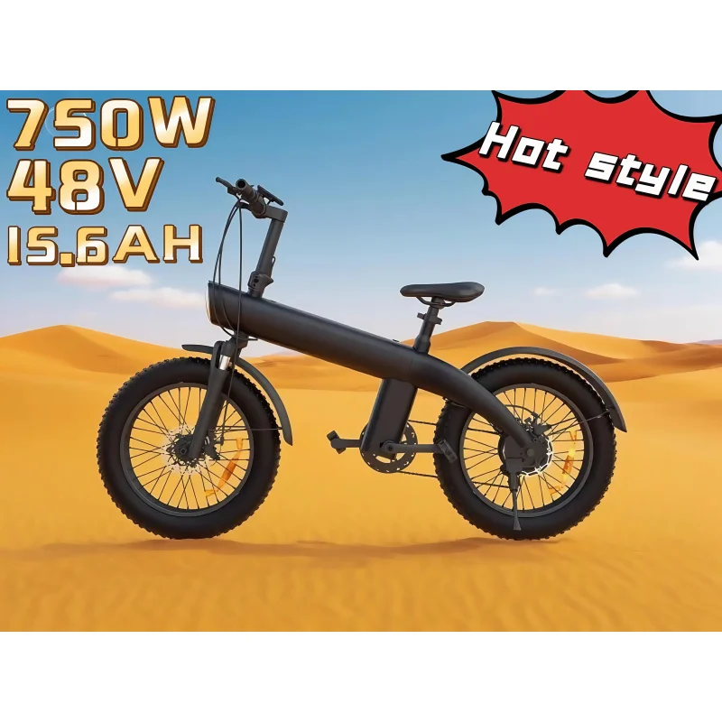 

Hot-selling 20-inch tire off-road fat tire 750W motor 48V 15.6AH battery adult mountain bike city moped