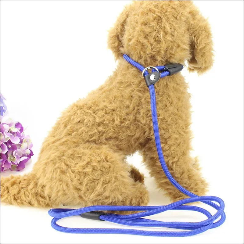 Pet Dog Leash Dog Harness Collar Lead  Rope Quality Nylon Adjustable Training Lead Pet Dog Leash Dog Strap Rope Traction