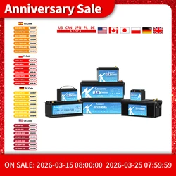 New 12V 24V 36V 48V 30Ah 50Ah 100Ah 120Ah 135Ah 180Ah 200Ah 300Ah Lithium Iron Phosphate Battery For RV Campers Solar Golf Carts