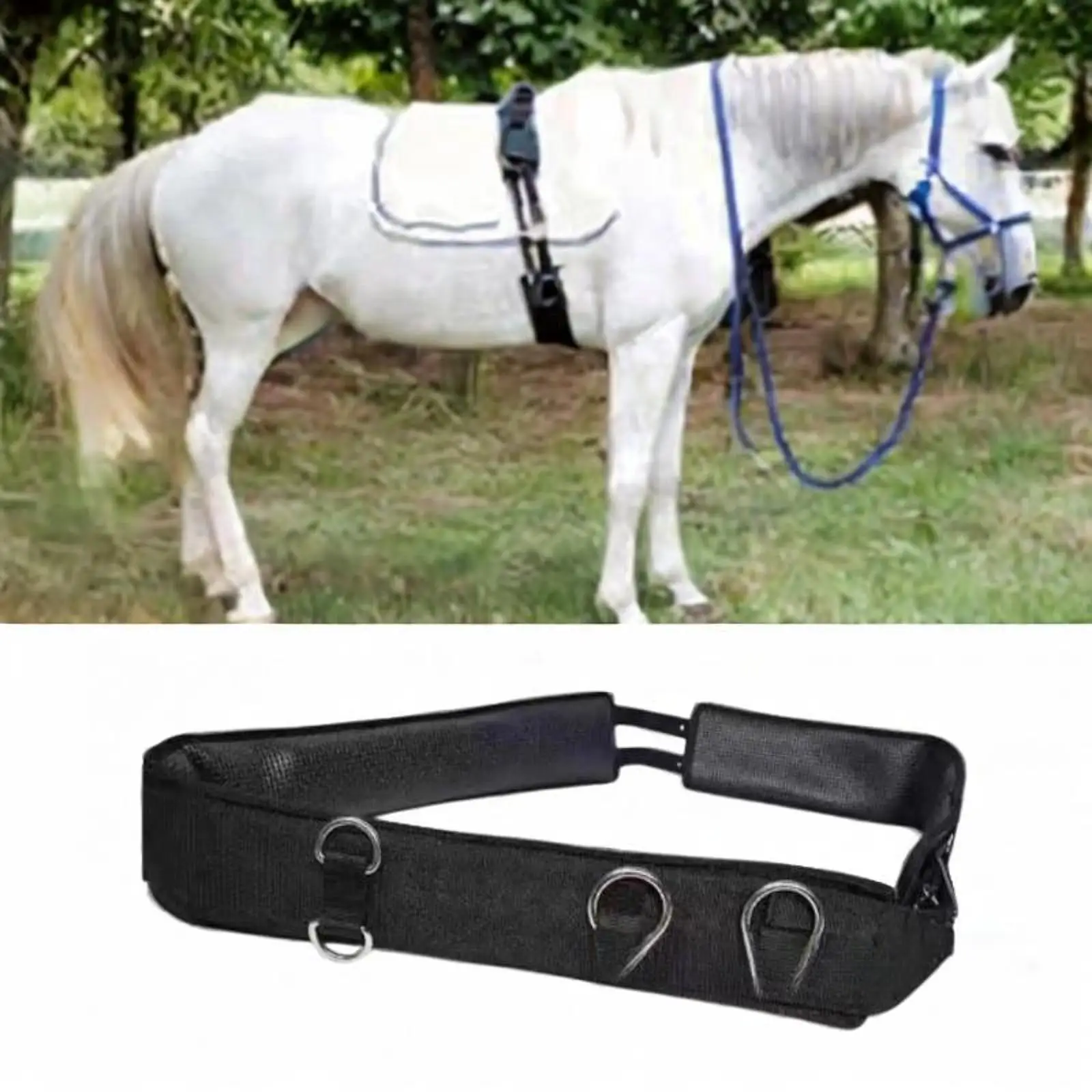 Horse Girth Nylon Webbing Oxford Padded Comfortable Anti Slip Cinch for Riding Training Competition