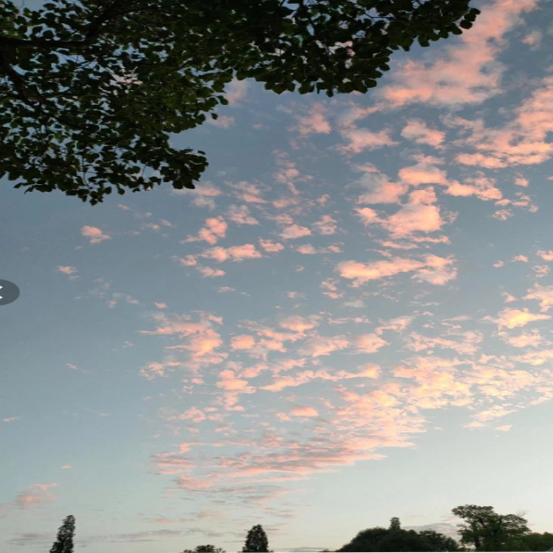 

iFlight Chimera7 Pro V2 O4 Pro 223mm Wheelbase FPV Frame Kit with 6mm Arm for RC FPV Racing Drone