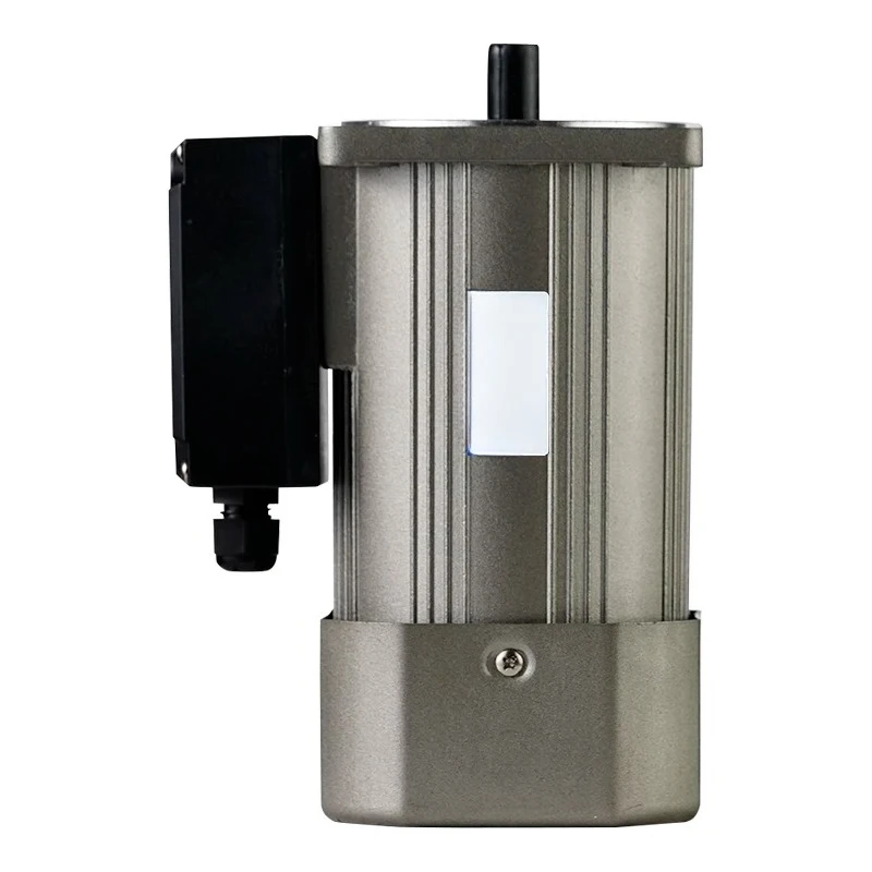 AC Gear Motor 250W 220V Speed Control Three-Phase Permanent Magnet Synchronous AC Motor 300W Equivalent