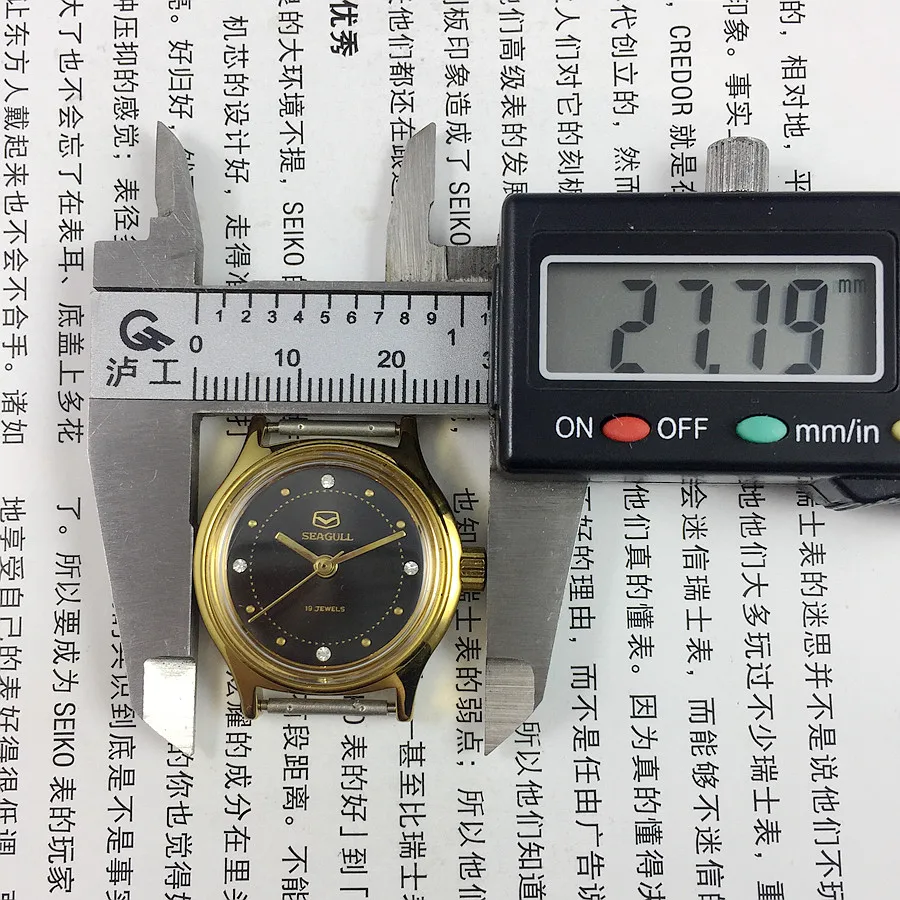 Seagull Manual Mechanical Women's Watch, Yellow Case Black Dial 24mm with Free Strap Original Tianjin Watch Factory