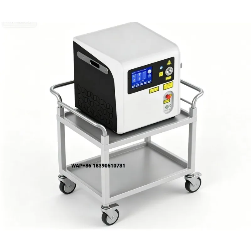 Veterinary surgical instruments, portable holmium systems, animal urological lithotripsy for use in pet clinics
