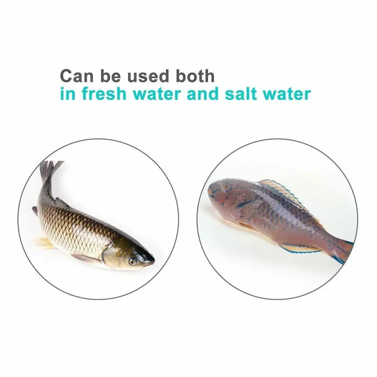 Super Bright 30W Warterproof LED Fishing Light Underwater Fish Lure Bait Lamp Green Blue White Light Fishing Tools DC 12V 24V image 6