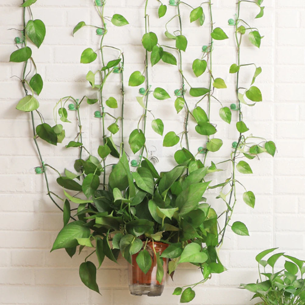 20 قطعة تسلق النبات جدار تركيبات كليب قابلة لإعادة الاستخدام البلاستيك دعم كليب لحديقة مكتب مطعم الديكور مقاطع جدار النبات #1
