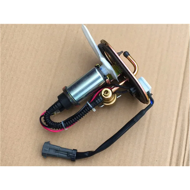 Suitable for Dayun DY200-2X Tianzhen Electronic Fuel Injection Gasoline Pump Fuel Pump Dayang DY200-5 Xiaoxiong Fuel Pump Assemb