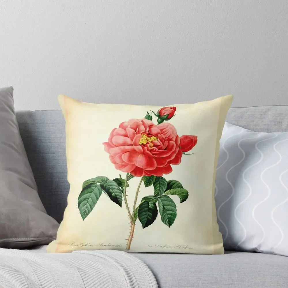 Vintage botanical art, red rose flower. Redoute Throw Pillow christmas ornaments 2024 Sofa Pillow Cover Covers For Sofas Pillow