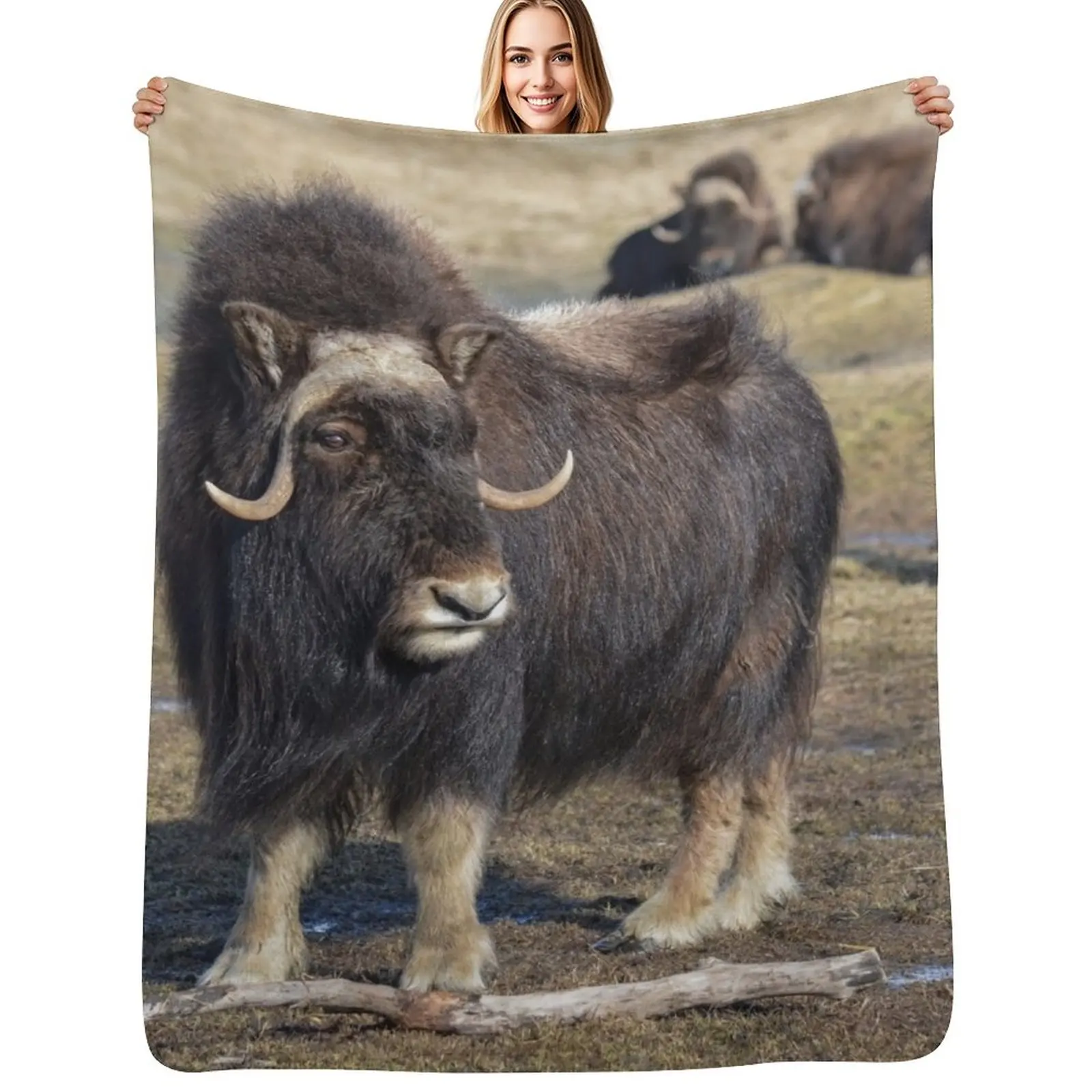 

Arctic Muskox Throw Blanket Thins Bed covers wednesday Camping Blankets