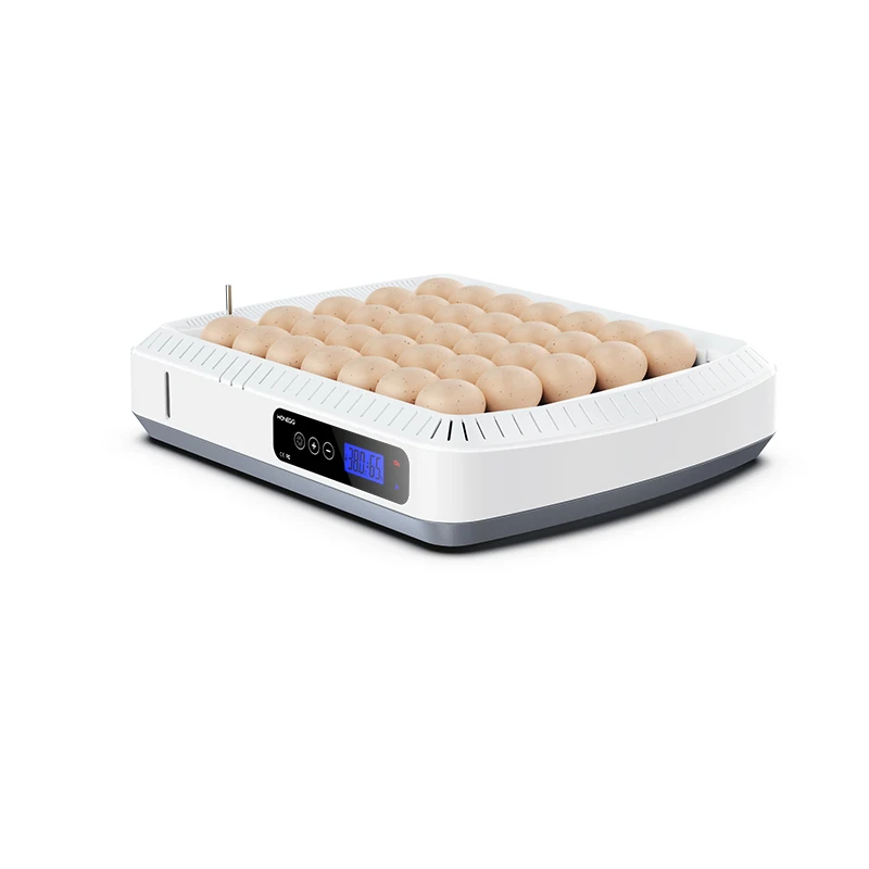 Promotion Price 35 Egg Incubator Temperature Controller Automatic Roller Type Bird Egg Incubator