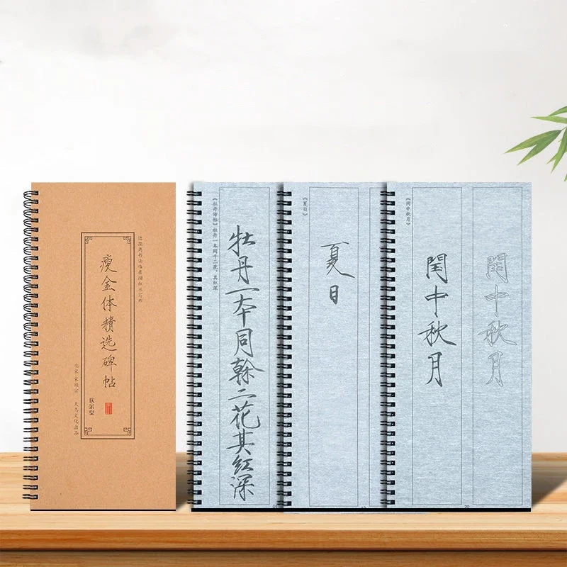 Thin Gold Body Water Writing Cloth Calligraphy Copybook Traditional Chinese Slender Gold Calligraphy Tracing Practice Copybook
