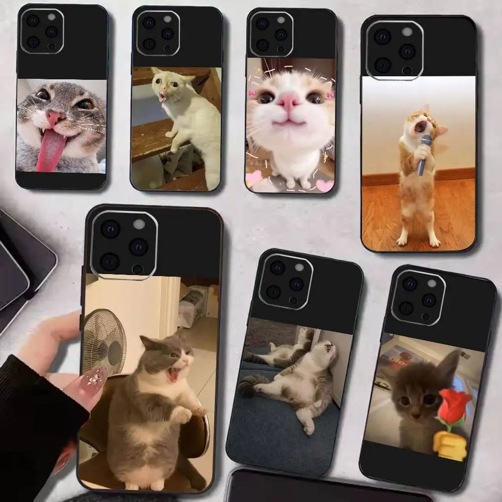 Pet Cat Funny memes Phone Case Silicone Soft For IPhone 17 16 15 14 13 12 11 X XR Plus Pro Max Plus