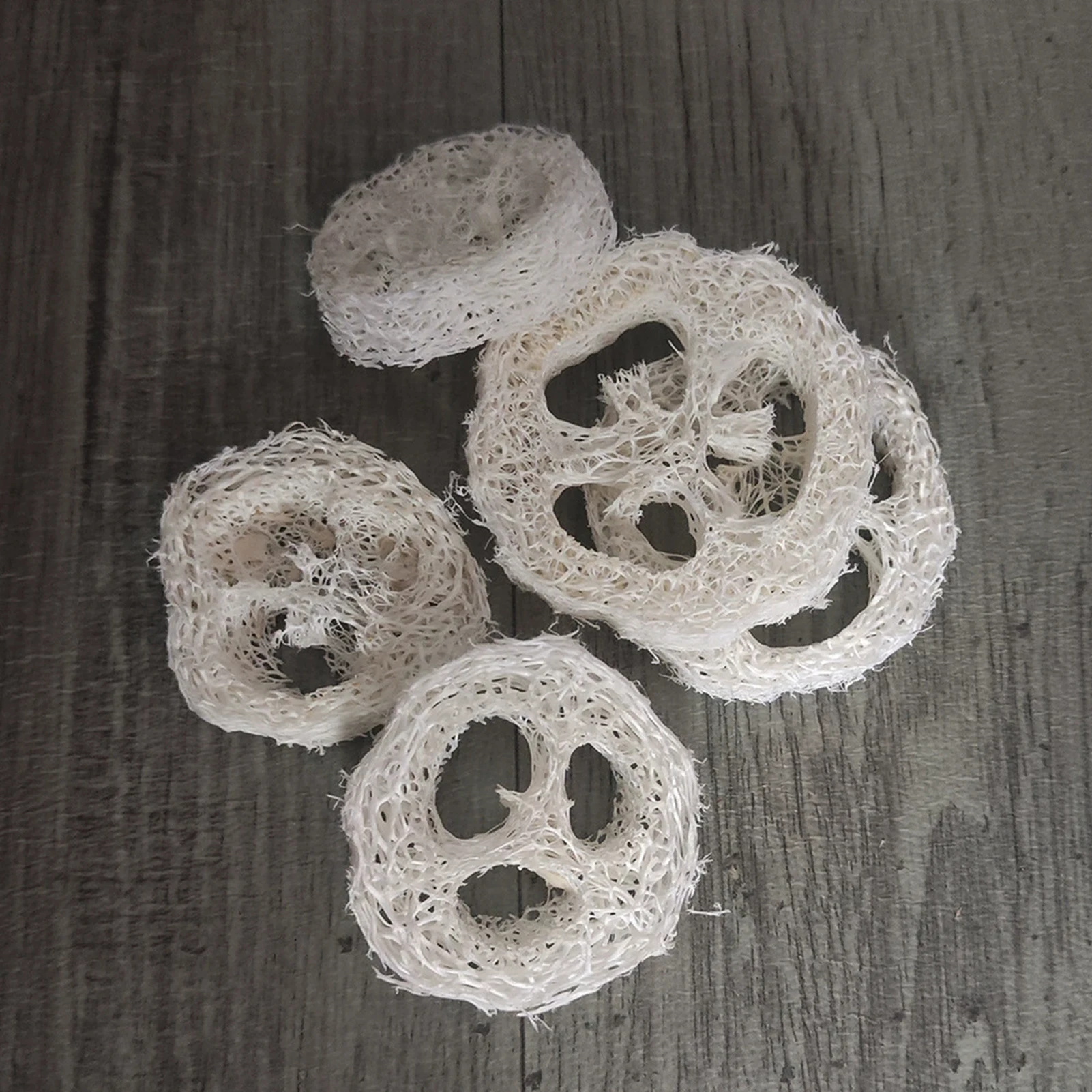 Bird Cage Accessories Luffa Slices Chewing Toy Natural Loofah Parrot Enrichment Hanging Decoration for Pet Bird Cages