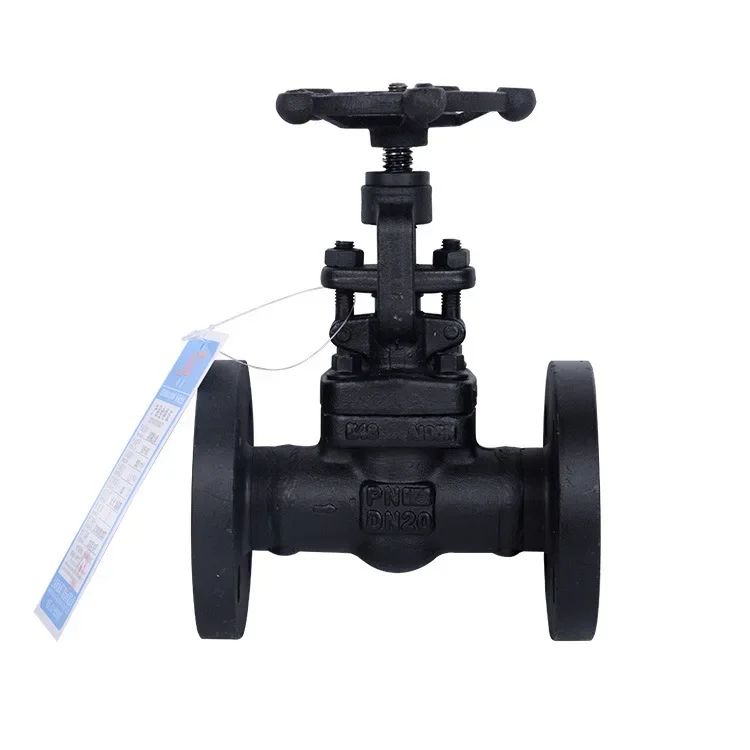

Carbon steel globe valve Cast steel globe valve Flanged high temperature Sealed high