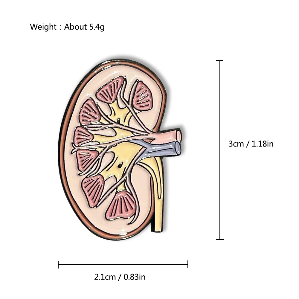 Hanreshe Kidney Anatomy Brooch Enamel Lapel Pins Medical Jewelry Badge Biology Gift for Doctor Nurse Medical Student