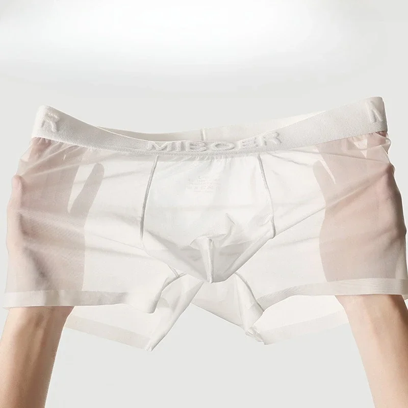 

Ultra Sheer Boxer Briefs Men Sexy Full Transprent Mesh Underwear Seamless Underpants Bulge Pouch Knickers Smooth Glossy Panties