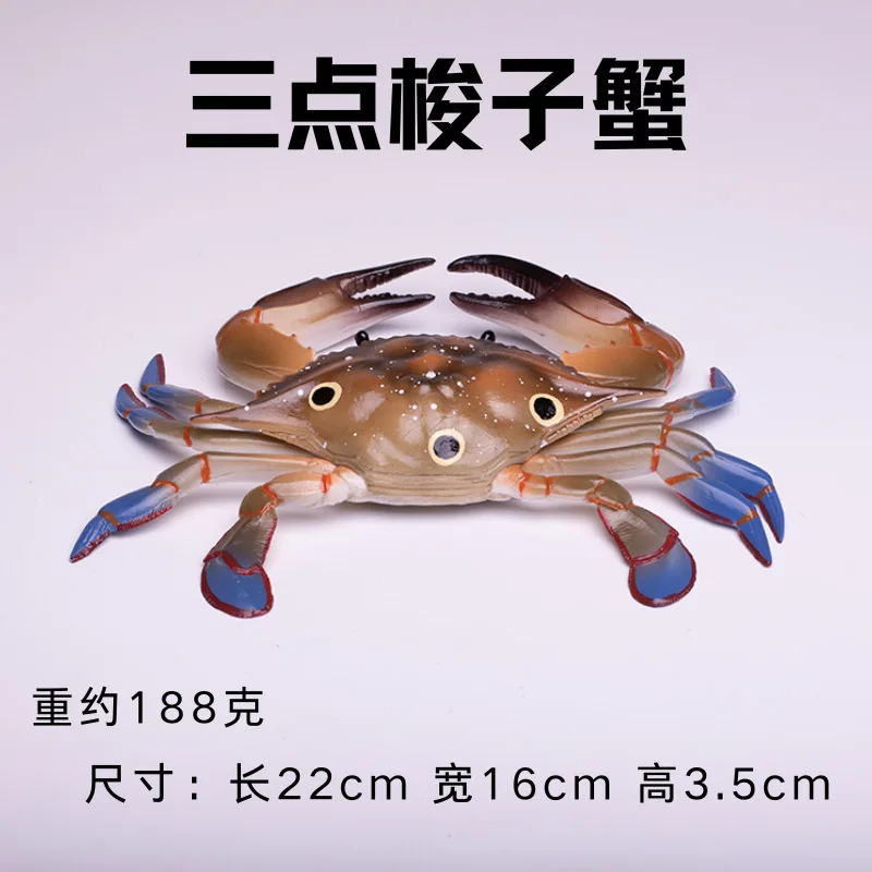 Simulation Marine Animal Model Durable Animal Cognition Toy Realistic Aquarium Miniature Crab Cognition Practical