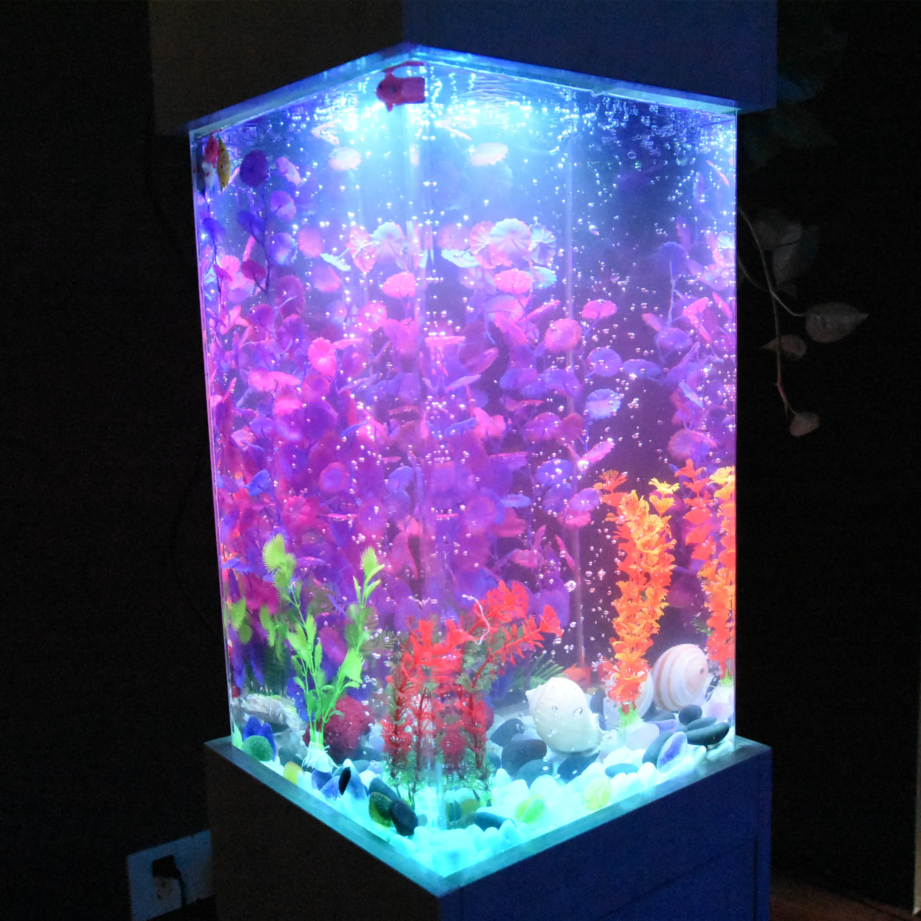 customized acrylic corner fish tank aquarium