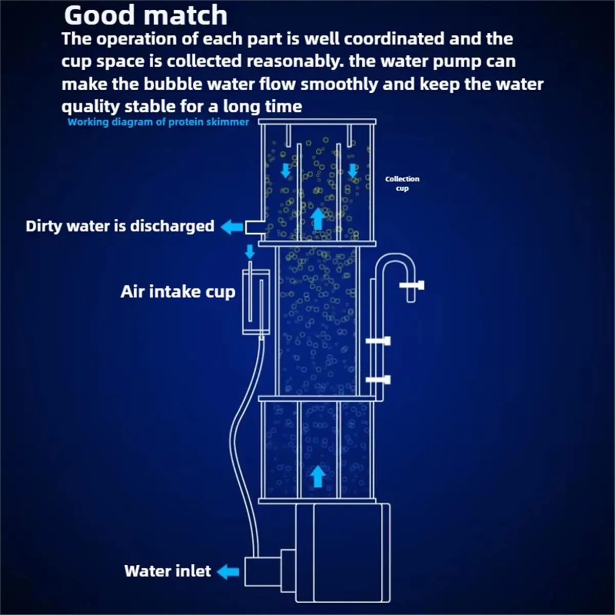 

Mini Pneumatic Protein Skimmer Saltwater Aquarium Fish Filter for Marine Coral Reef Tanks on EU Plug