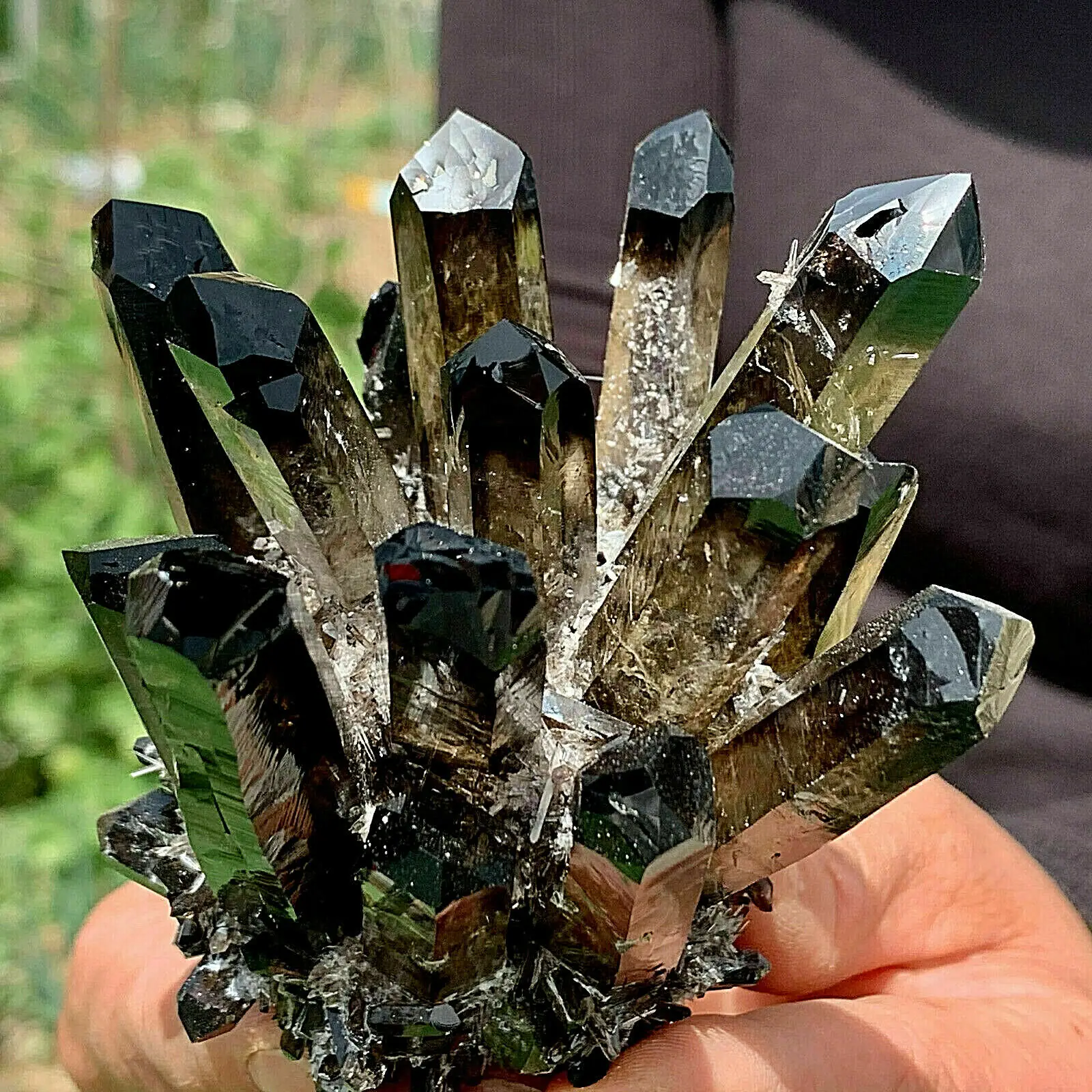 Rare Black Phantom Quartz Crystal Cluster Mineral Specimen Healing