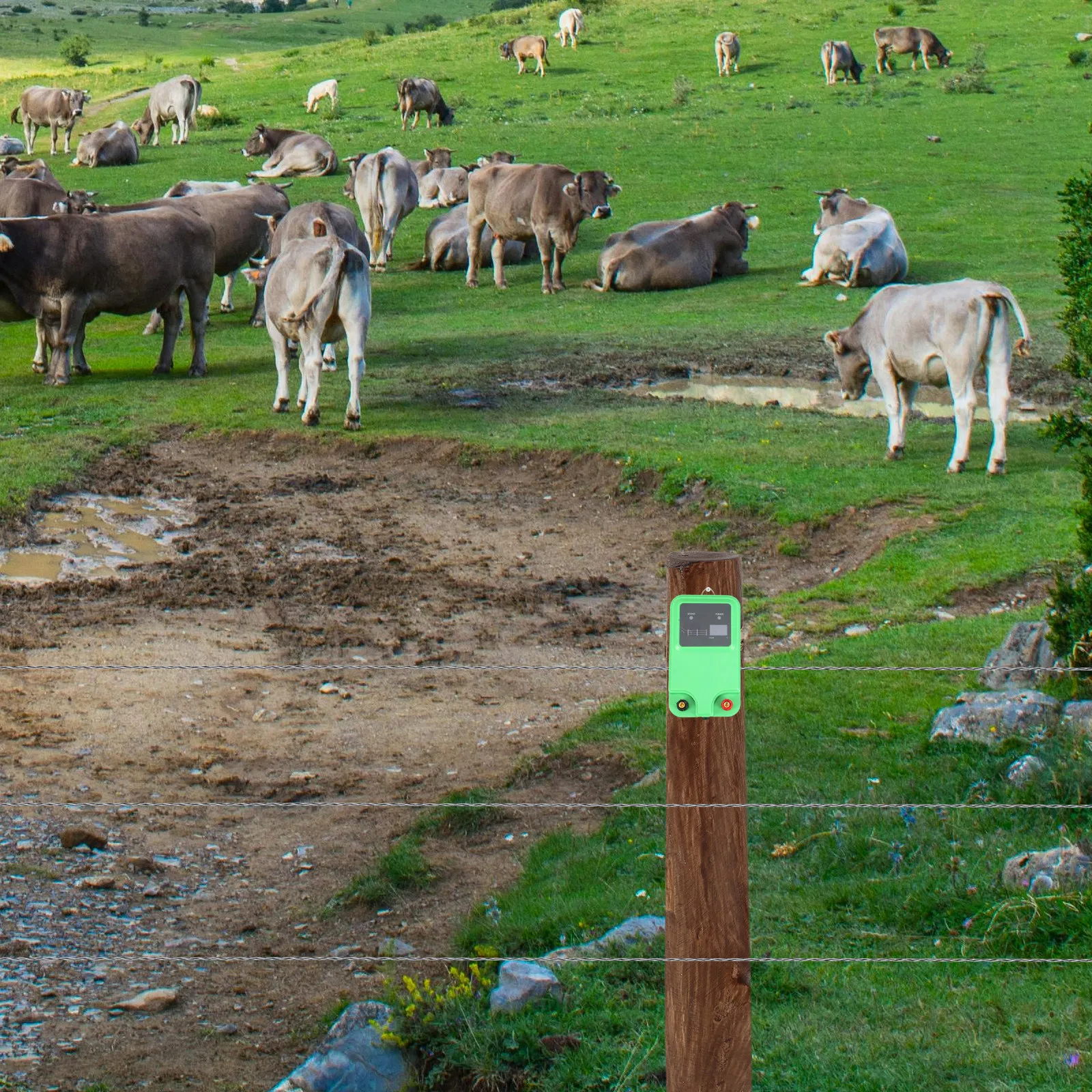 ชุดรั้วไฟฟ้าสำหรับปศุสัตว์ ชุด - Farming System & Sustainable Agriculture บทวิจารณ์และราคา