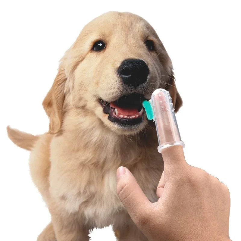 Soft Silicone Pet Finger Toothbrush for Baby Kids Dog Cats Teeth Cleaning Brush with Case Teddy Dog Tooth Brush Teeth Care Tool