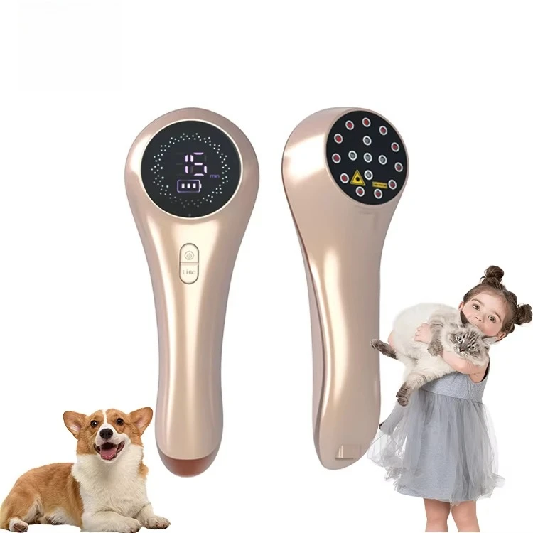 

Physical Therapy Equipments Handheld Cold Laser Therapy For Horse Arthritis Pain Relief Device And Wound Healing