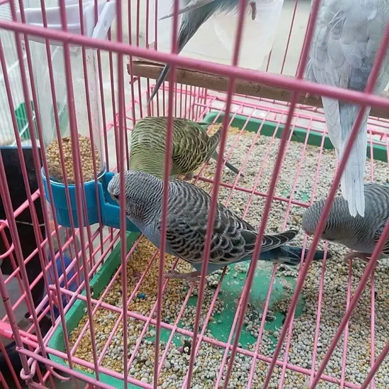 97QD 애완 동물 새 플라스틱 오토 피더 앵무새 Cockatiel 먹이 물을 마시는 사람 컵 그릇 디스펜서 케이지 용품